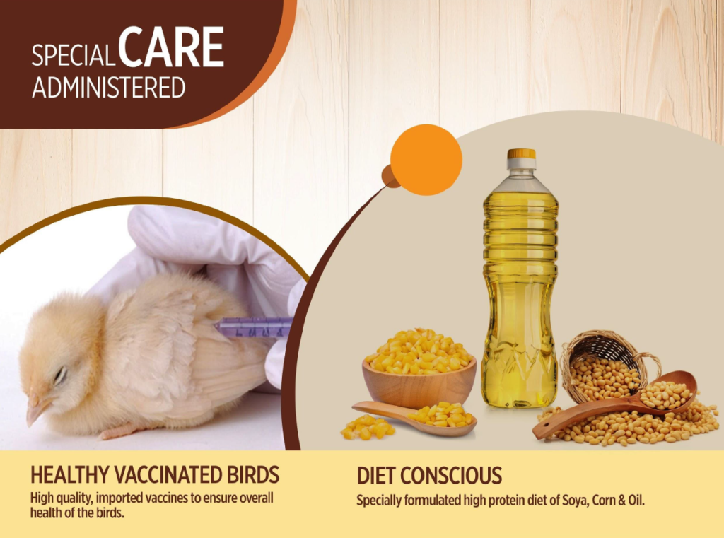 Screenshot 2024-11-13 124217