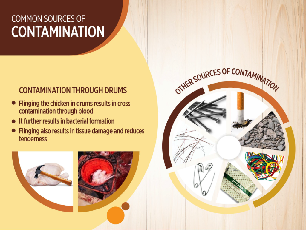 Screenshot 2024-11-13 124255