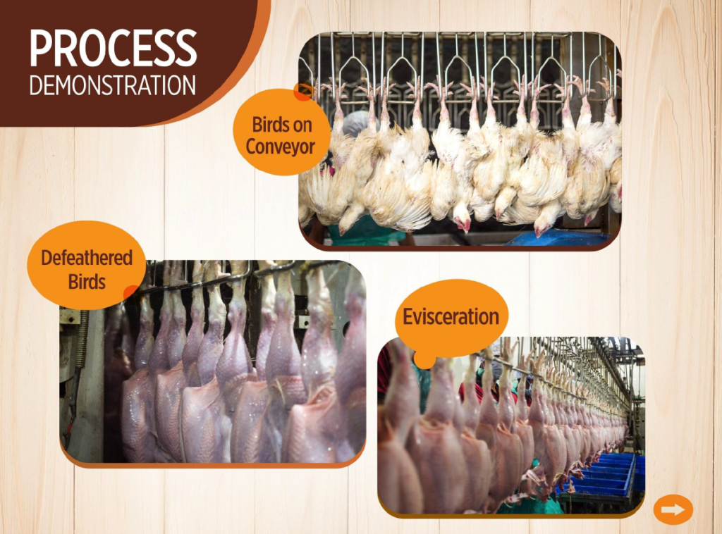 Screenshot 2024-11-13 124321