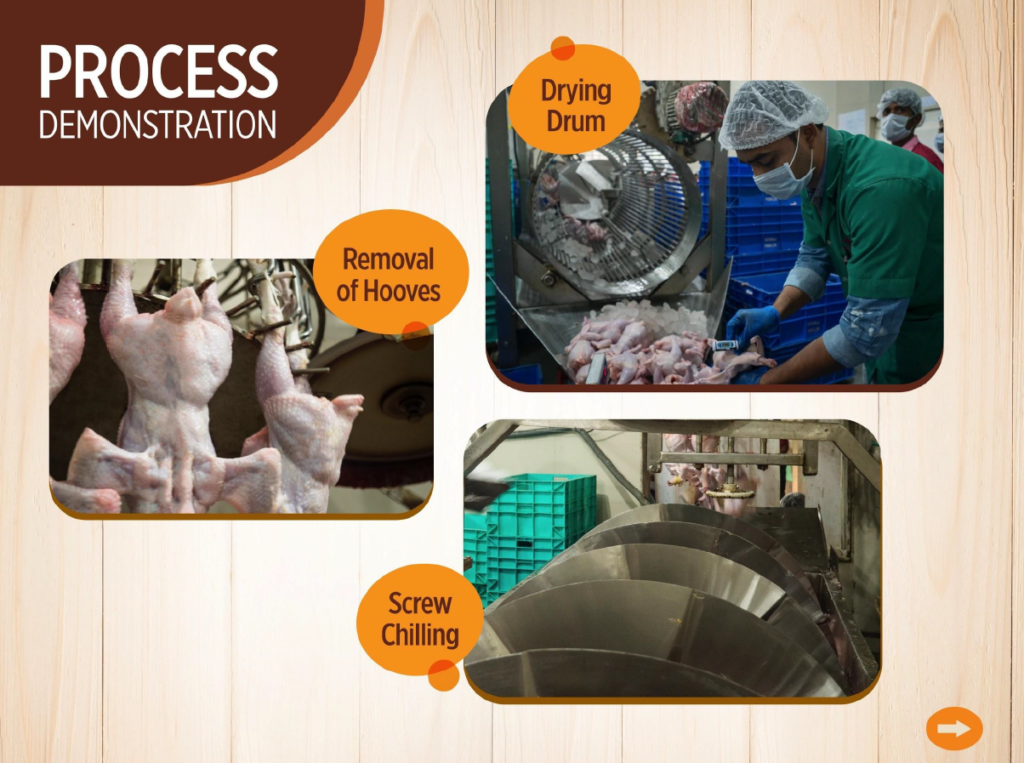 Screenshot 2024-11-13 124331