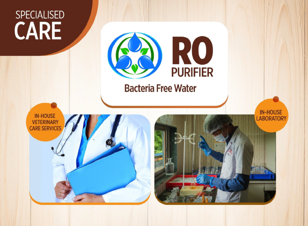 Screenshot 2024-11-13 124407